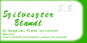 szilveszter blandl business card